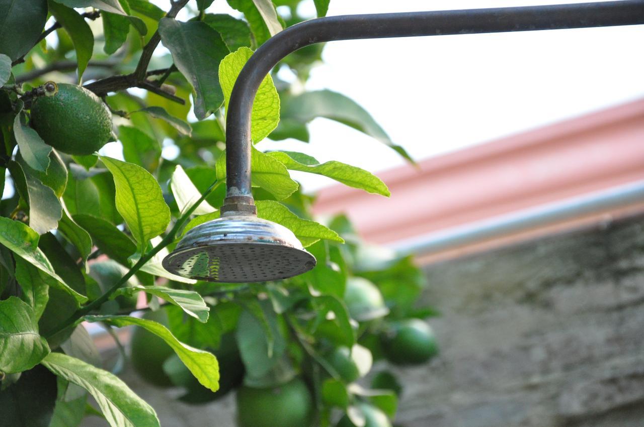 Lemon Garden Hostel Sevilla - Seville — Photos 3